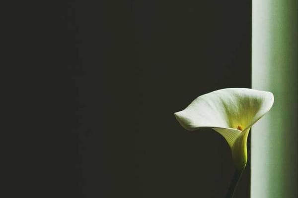 How to Create a Memorable Brand Identity